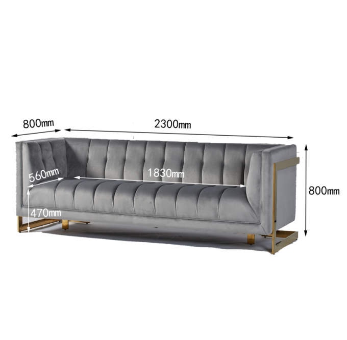 A tela de veludo adornou a sala de visitas moderna Sofa With Hallow Metal Legs 3