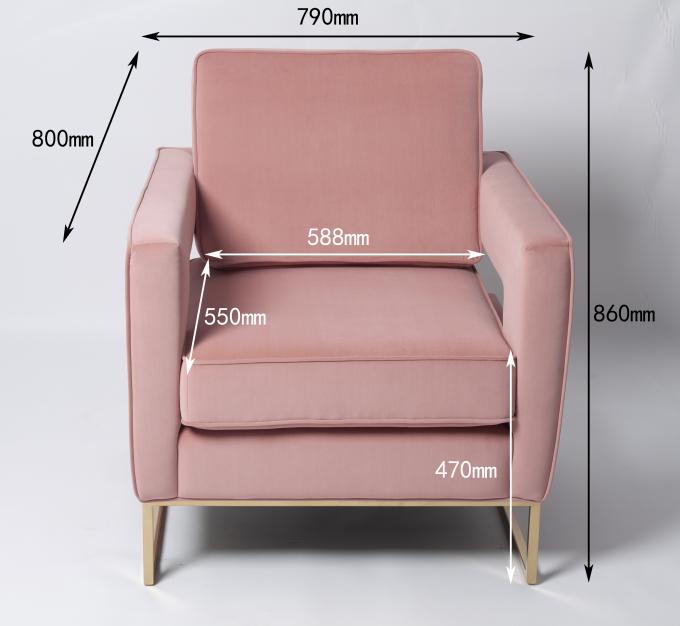 Quadro moderno de Pale Pink Sofa With Metal de veludo da mobília da sala de visitas 0